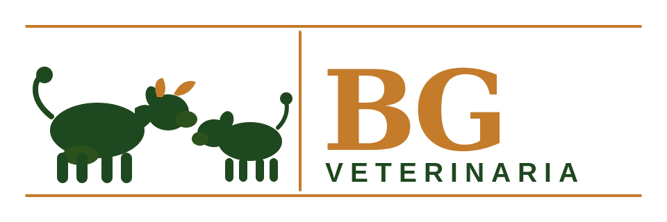 BG Veterinaria — Veterinario bovino Uruguay